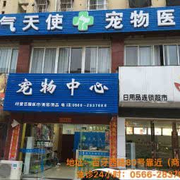 淘气天使宠物医院(池州店):池州市贵池区