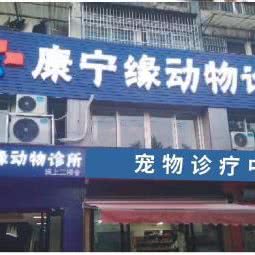 康宁缘动物诊所:池州市东至县