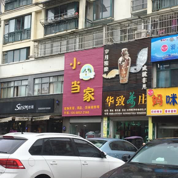 小狗当家:池州市青阳县