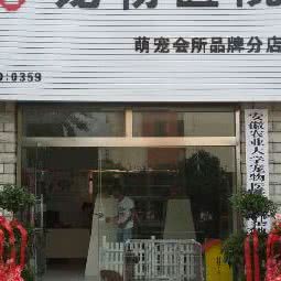 恩和宠物医院:池州市青阳县