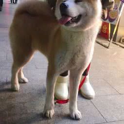 宠乐时光:宣城市宣州区