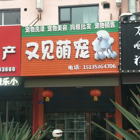 又见萌宠:临汾市尧都区鼓楼南大街附近