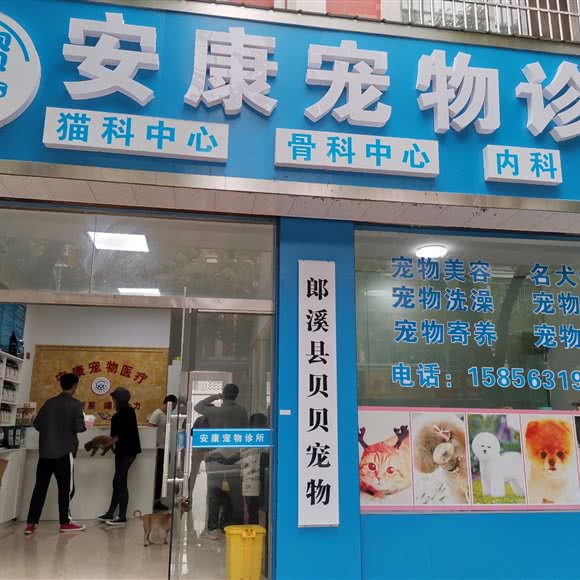 安康宠物诊所:宣城市郎溪县