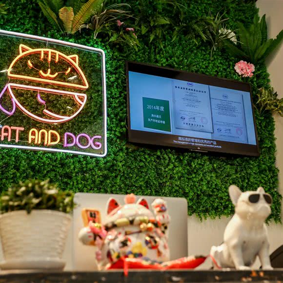 路爱萌宠馆:宣城市泾县