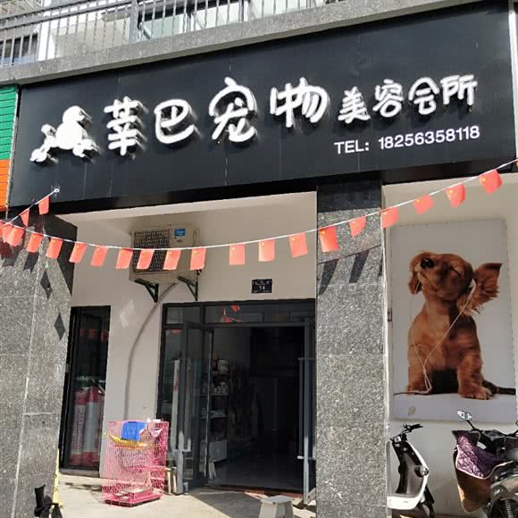 莘巴宠物美容会所:宣城市绩溪县