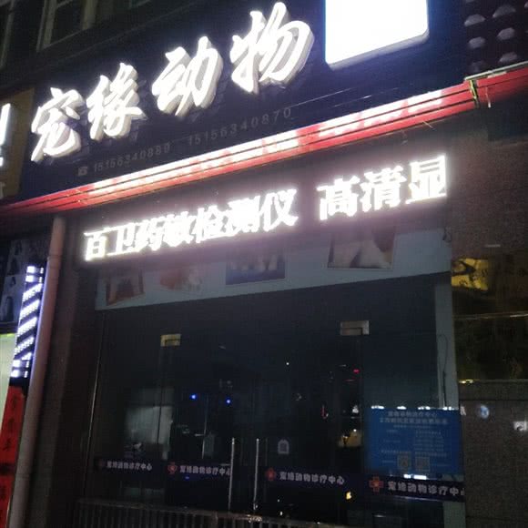宠缘动物诊疗中心:宣城市旌德县