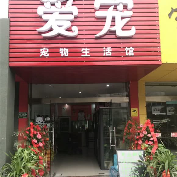 爱宠宠物生活馆:宣城市宁国市