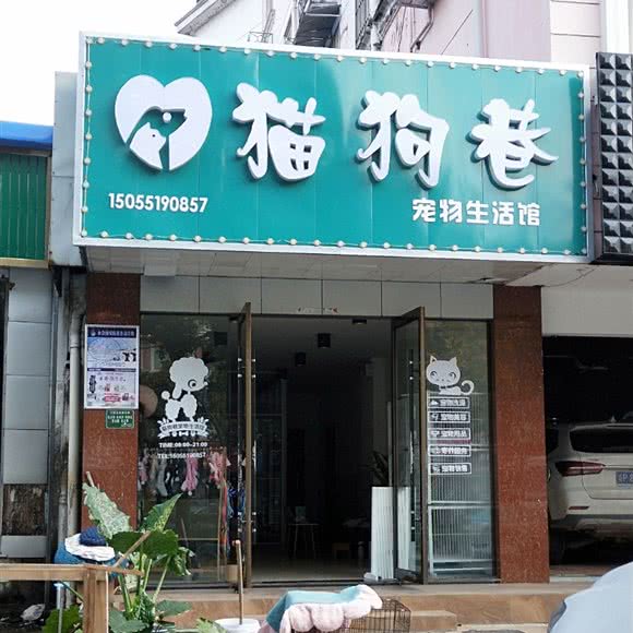 猫狗巷宠物生活馆:宣城市宁国市