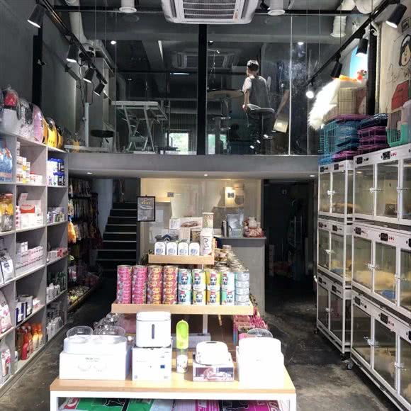 福宠宠物专卖店:福州市仓山区