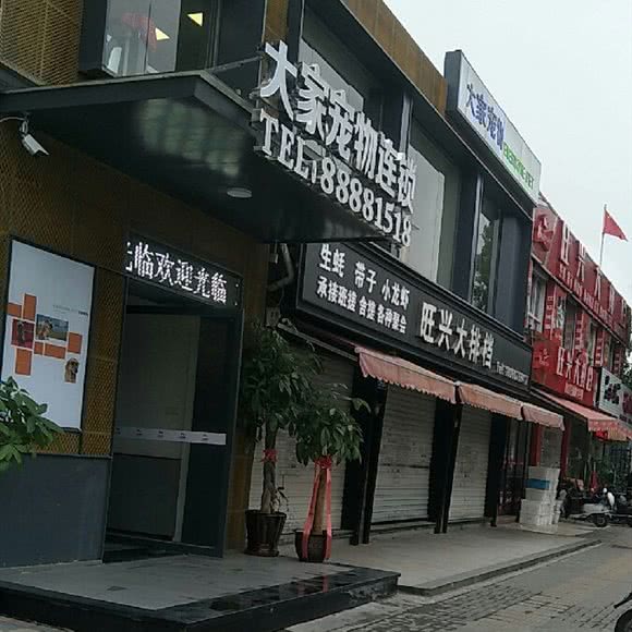 大家宠物连锁:福州市仓山区