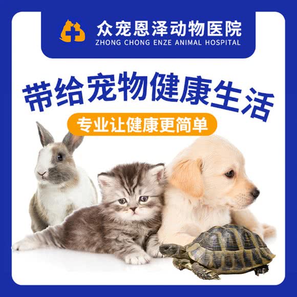 众宠恩泽动物医院(宠物护理):北京城区朝阳区东坝附近