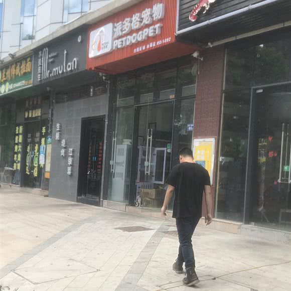 派多格狗狗:福州市长乐区