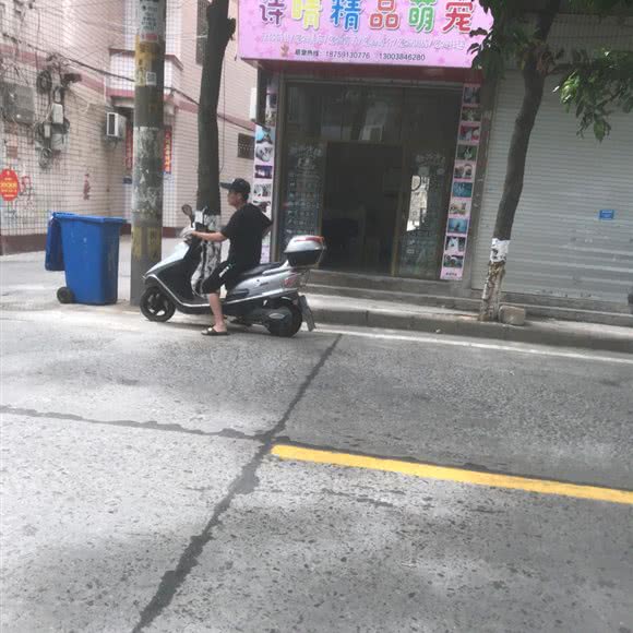 诗晴精品萌宠:福州市长乐区