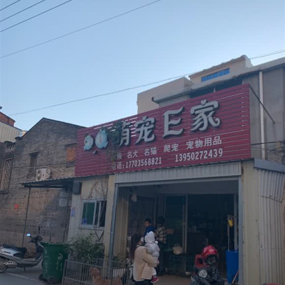 萌宠E家:福州市长乐区