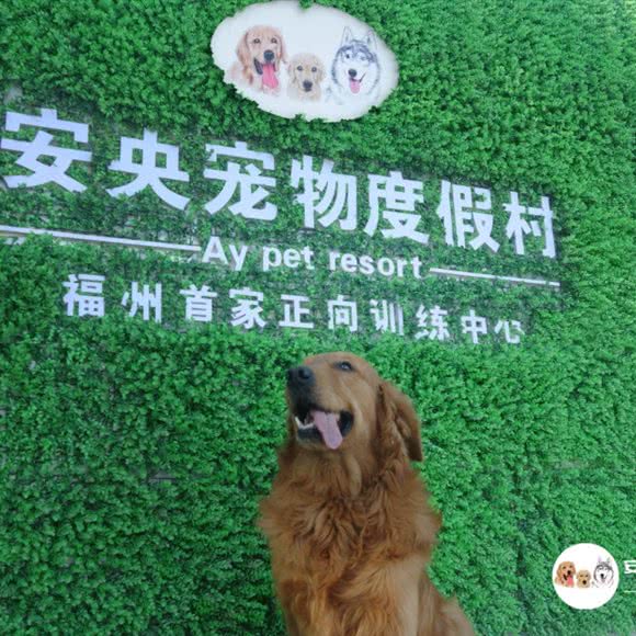 安央宠物度假村:福州市长乐区