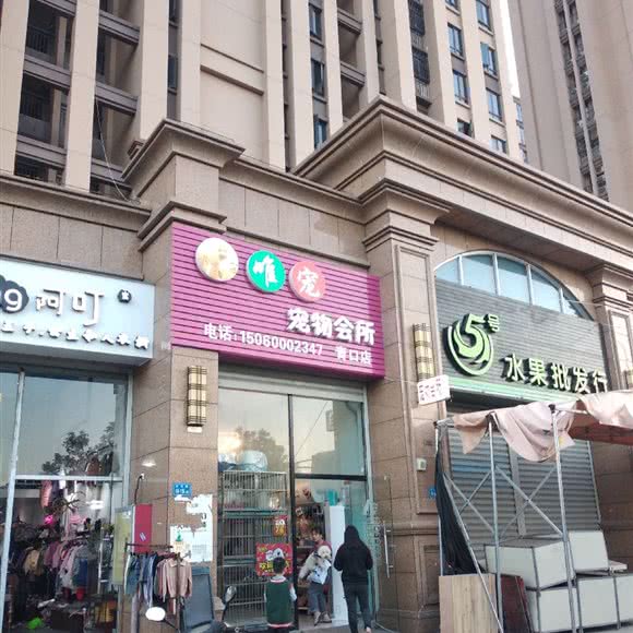 唯宠宠物会所(青口店):福州市闽侯县