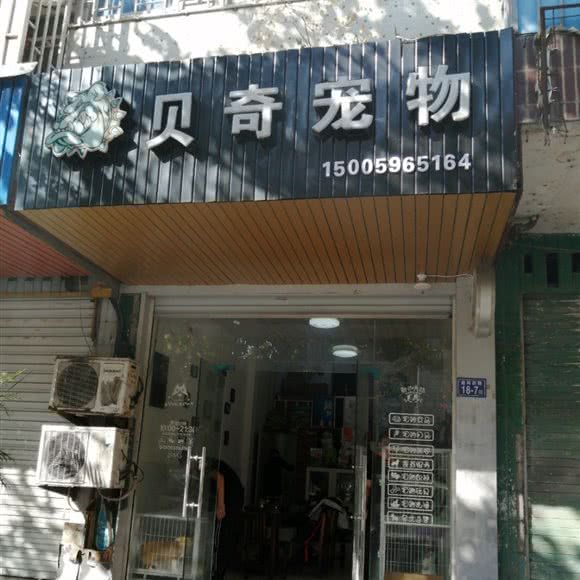 贝奇宠物:福州市连江县