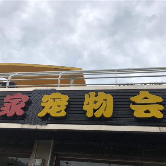 有家宠物会所:福州市永泰县