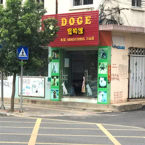 DOGE宠物馆(三山店):福州市福清市